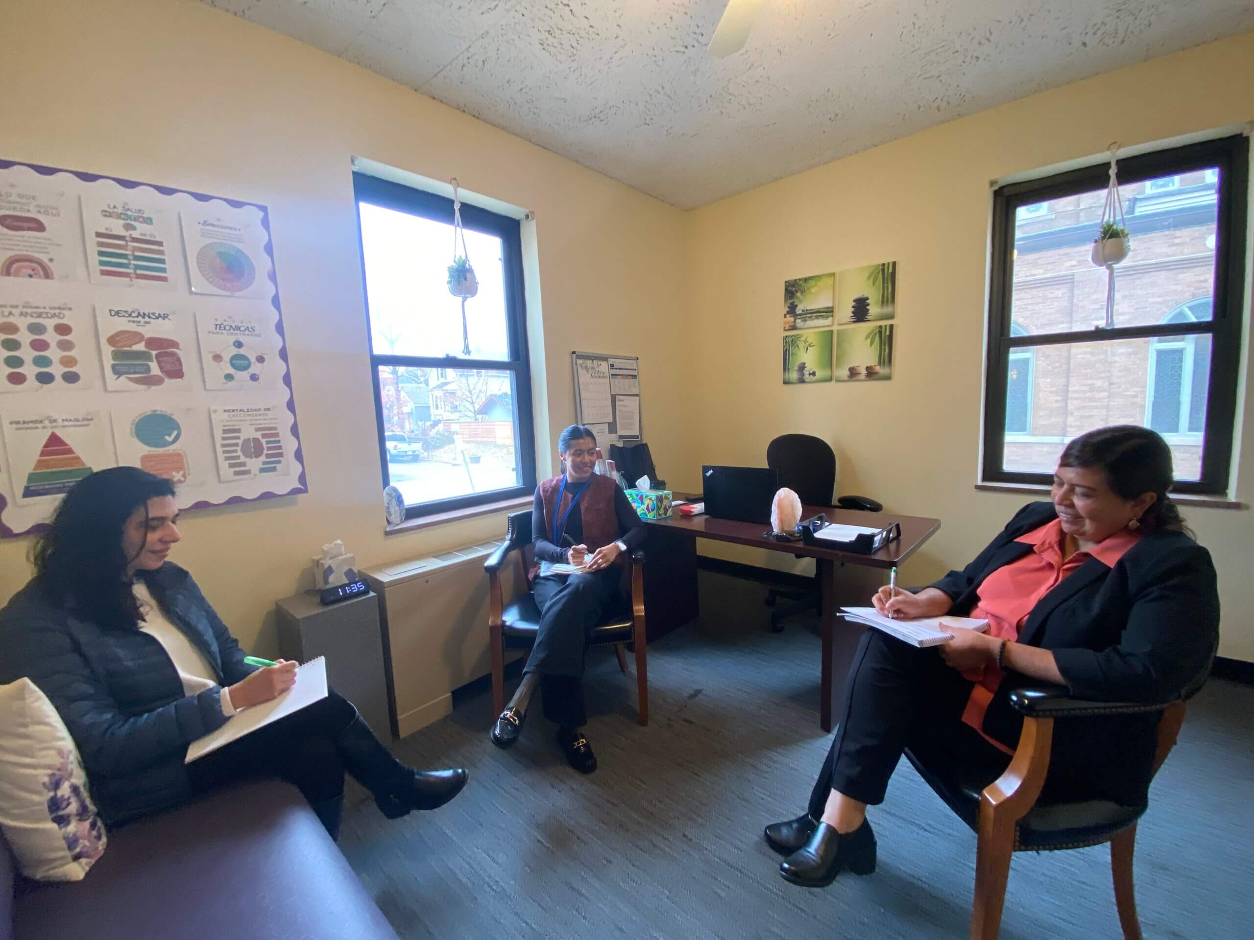 Im services Mental Health therapists