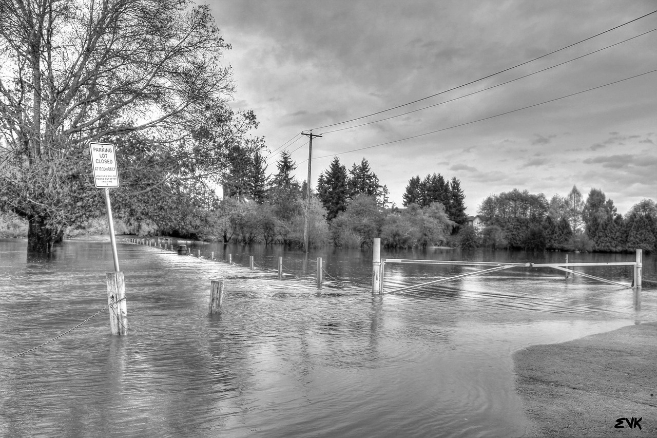 FloodBW