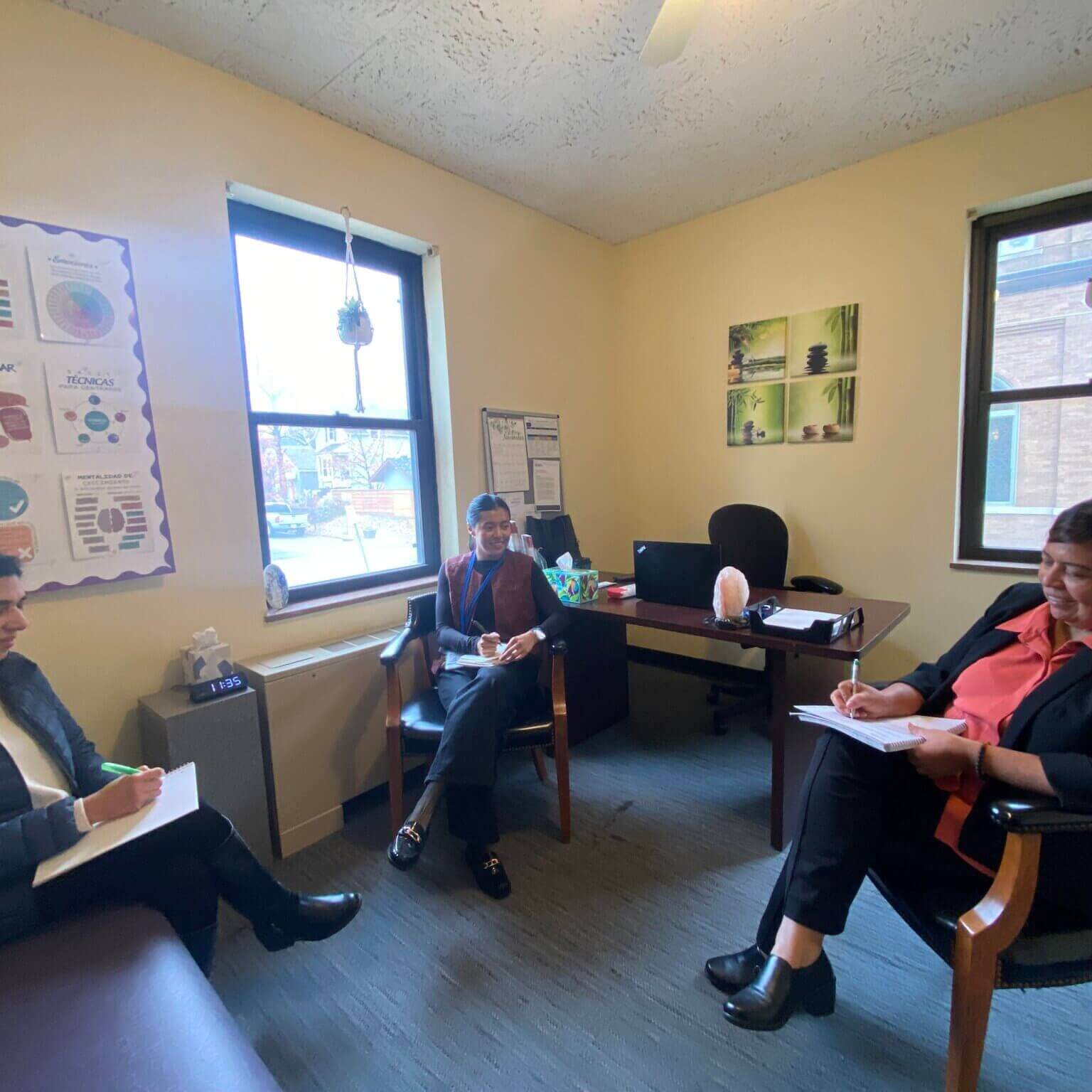 Im services Mental Health therapists